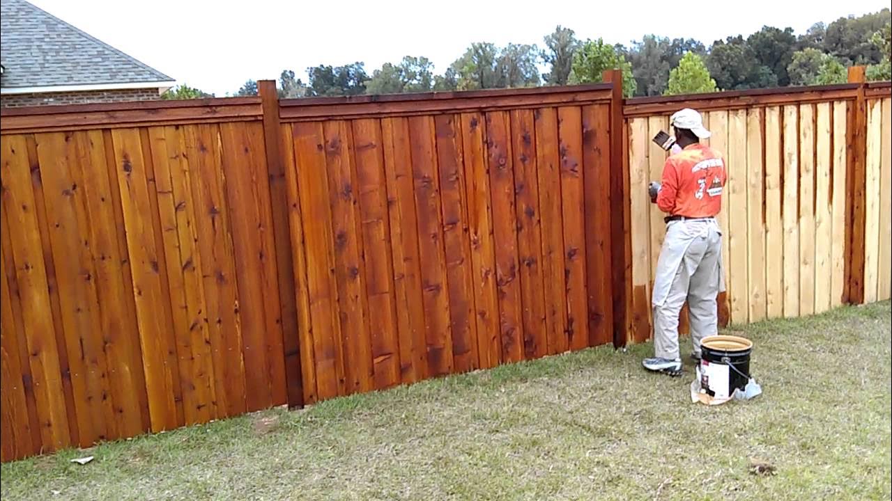 Fence Painting